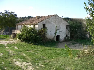 Rustico/Casale in vendita a Monterubbiano - foto 3