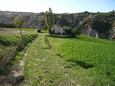 Rustico/Casale in vendita a Monterubbiano - foto 8