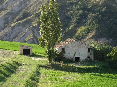 Rustico/Casale in vendita a Monterubbiano - foto 9