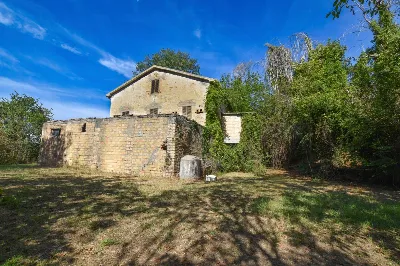 Rustico/Casale in vendita a Montedinove - foto 5