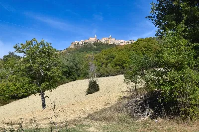 Rustico/Casale in vendita a Montedinove - foto 6