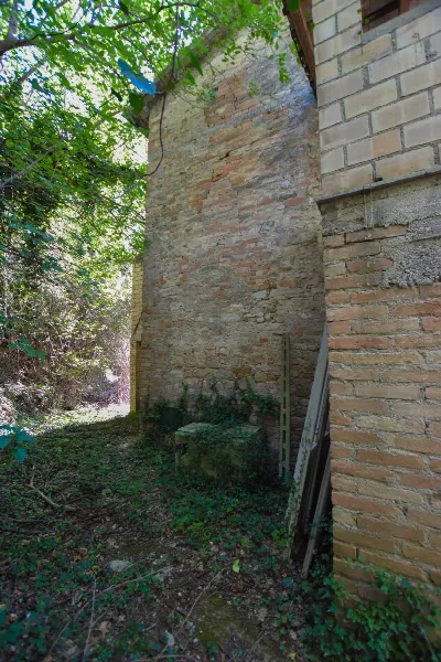 Rustico/Casale in vendita a Montedinove - foto 8