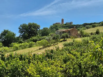 Rustico/Casale in vendita a Campofilone - foto 6