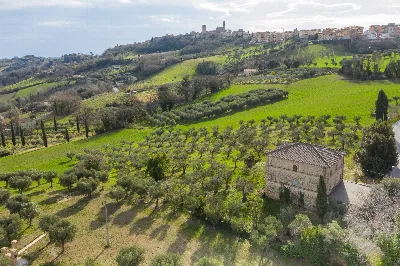 Rustico/Casale in vendita a Mogliano - foto 4