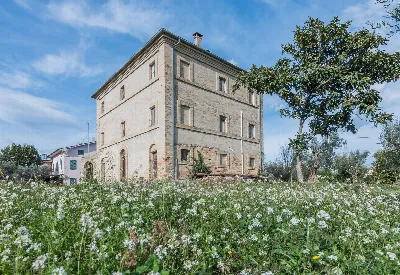 Rustico/Casale in vendita a Mogliano - foto 8