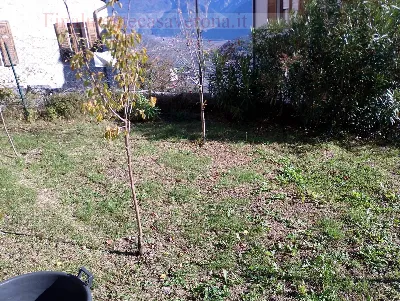 Rustico/Casale in vendita a Isera - foto 10