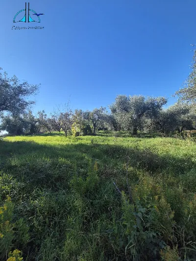 Villa in vendita a Fara in Sabina - foto 4
