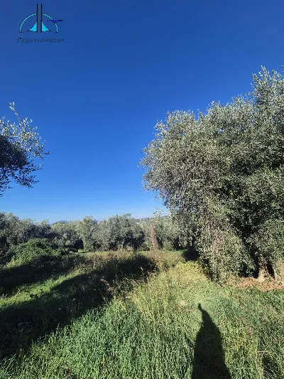 Villa in vendita a Fara in Sabina - foto 5