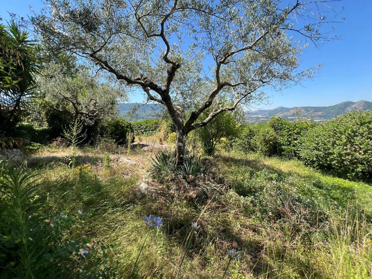 Villa in vendita a Sant'Agata de' Goti - foto 3