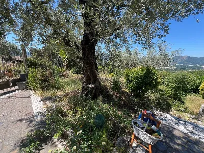 Villa in vendita a Sant'Agata de' Goti - foto 4