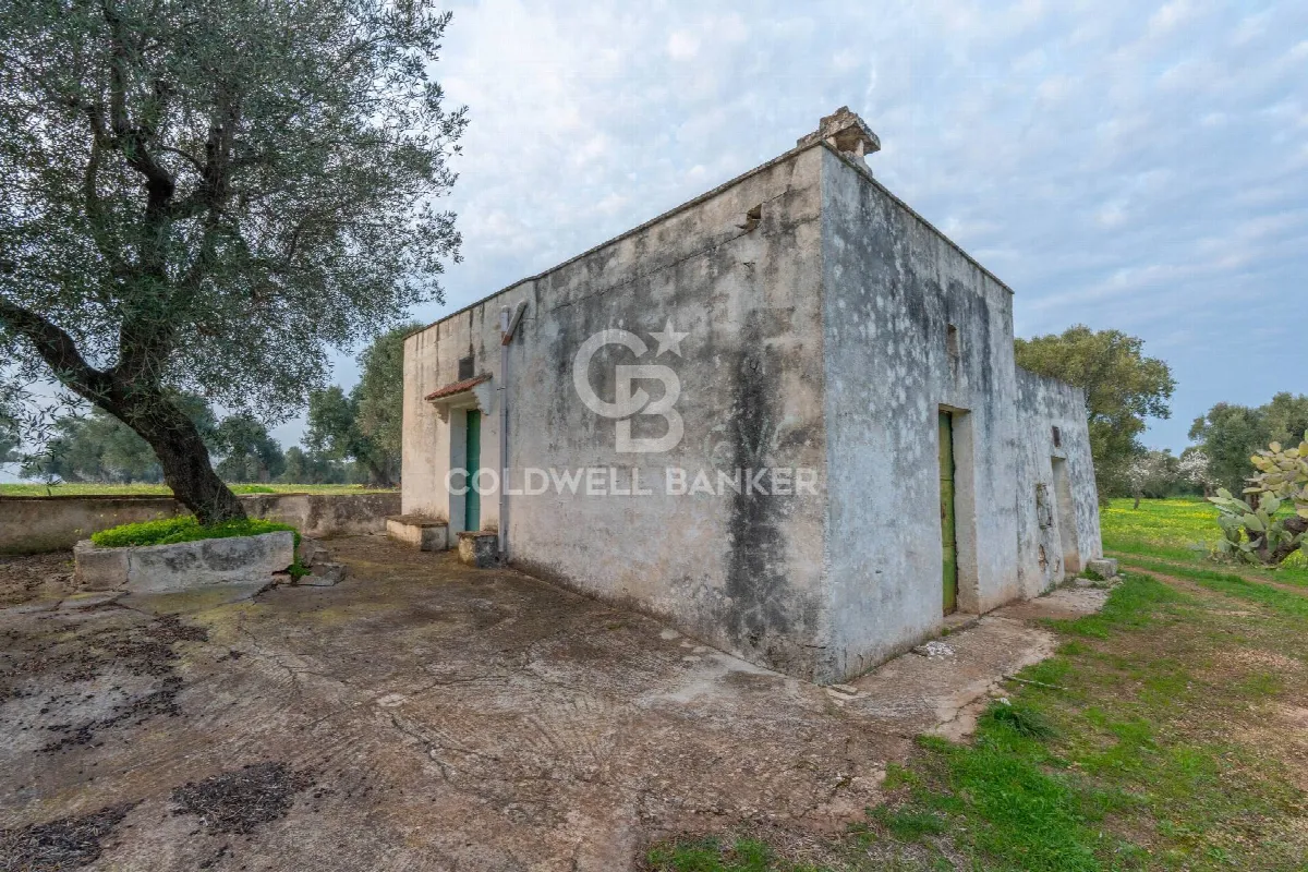 Rustico/Casale in vendita a Ostuni - foto 2