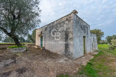 Rustico/Casale in vendita a Ostuni - foto 2