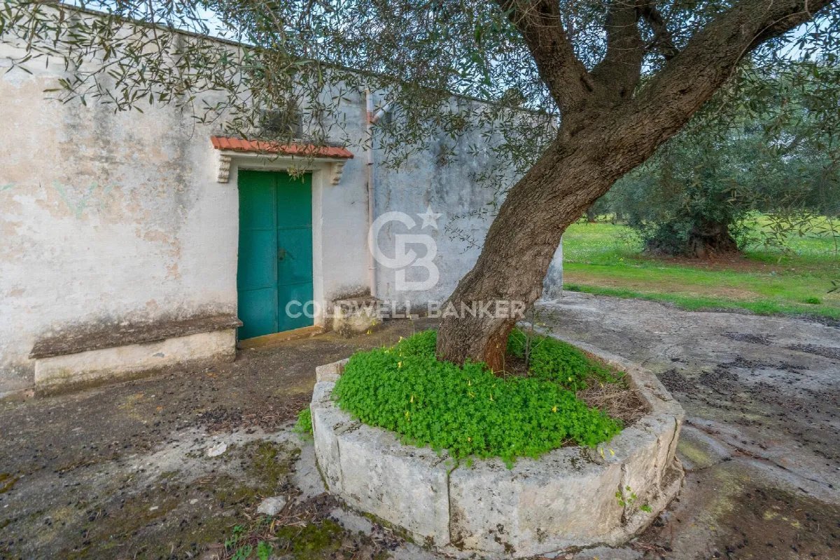 Rustico/Casale in vendita a Ostuni - foto 3