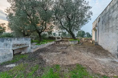 Rustico/Casale in vendita a Ostuni - foto 4
