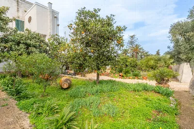 Rustico/Casale in vendita a Ostuni - foto 5