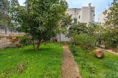 Rustico/Casale in vendita a Ostuni - foto 6