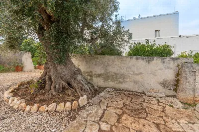 Rustico/Casale in vendita a Ostuni - foto 7