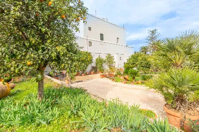 Rustico/Casale in vendita a Ostuni - foto 8