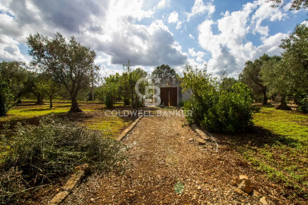 Rustico/Casale in vendita a Ostuni - foto 3
