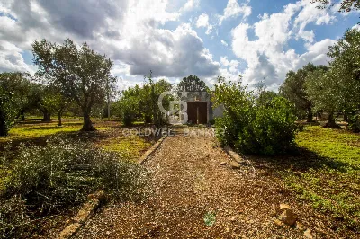 Rustico/Casale in vendita a Ostuni - foto 3