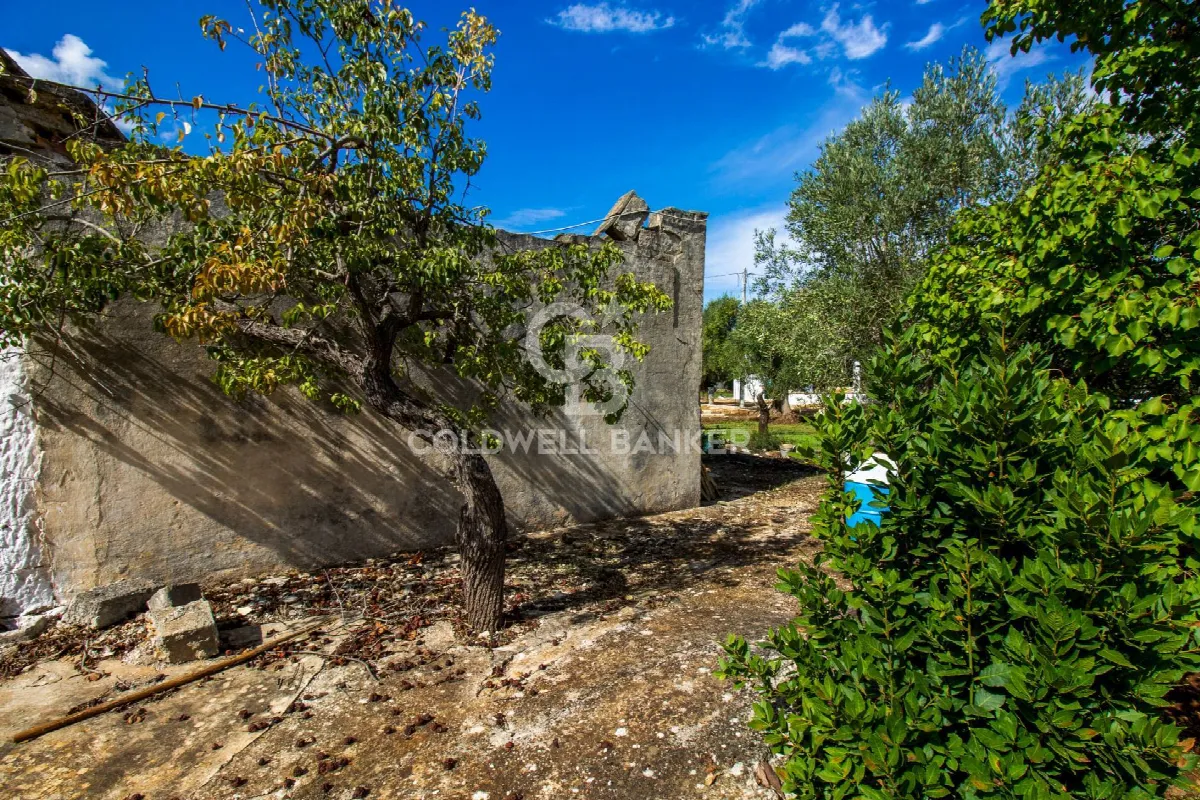Rustico/Casale in vendita a Ostuni - foto 4
