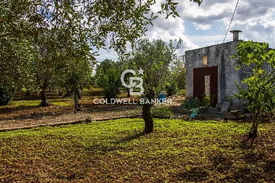 Rustico/Casale in vendita a Ostuni - foto 5