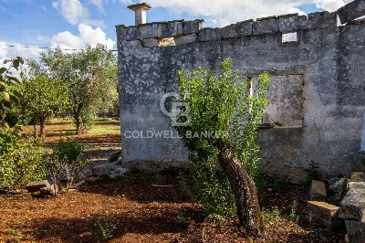 Rustico/Casale in vendita a Ostuni - foto 6