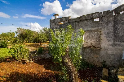 Rustico/Casale in vendita a Ostuni - foto 7