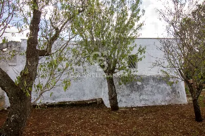 Rustico/Casale in vendita a Ostuni - foto 10