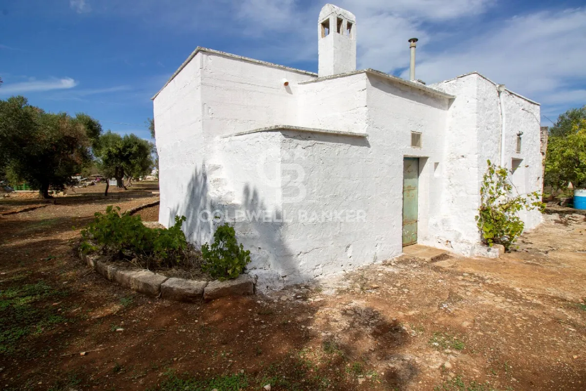 Rustico/Casale in vendita a Ostuni - foto 5