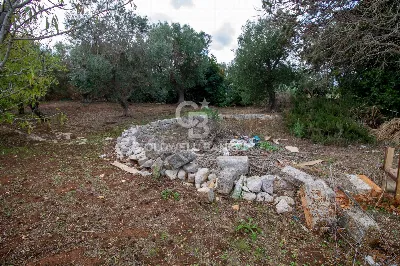 Rustico/Casale in vendita a Ostuni - foto 6