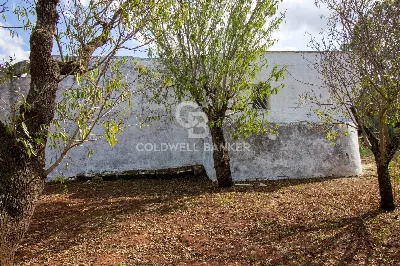 Rustico/Casale in vendita a Ostuni - foto 7