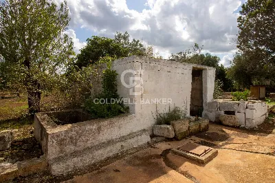 Rustico/Casale in vendita a Ostuni - foto 8