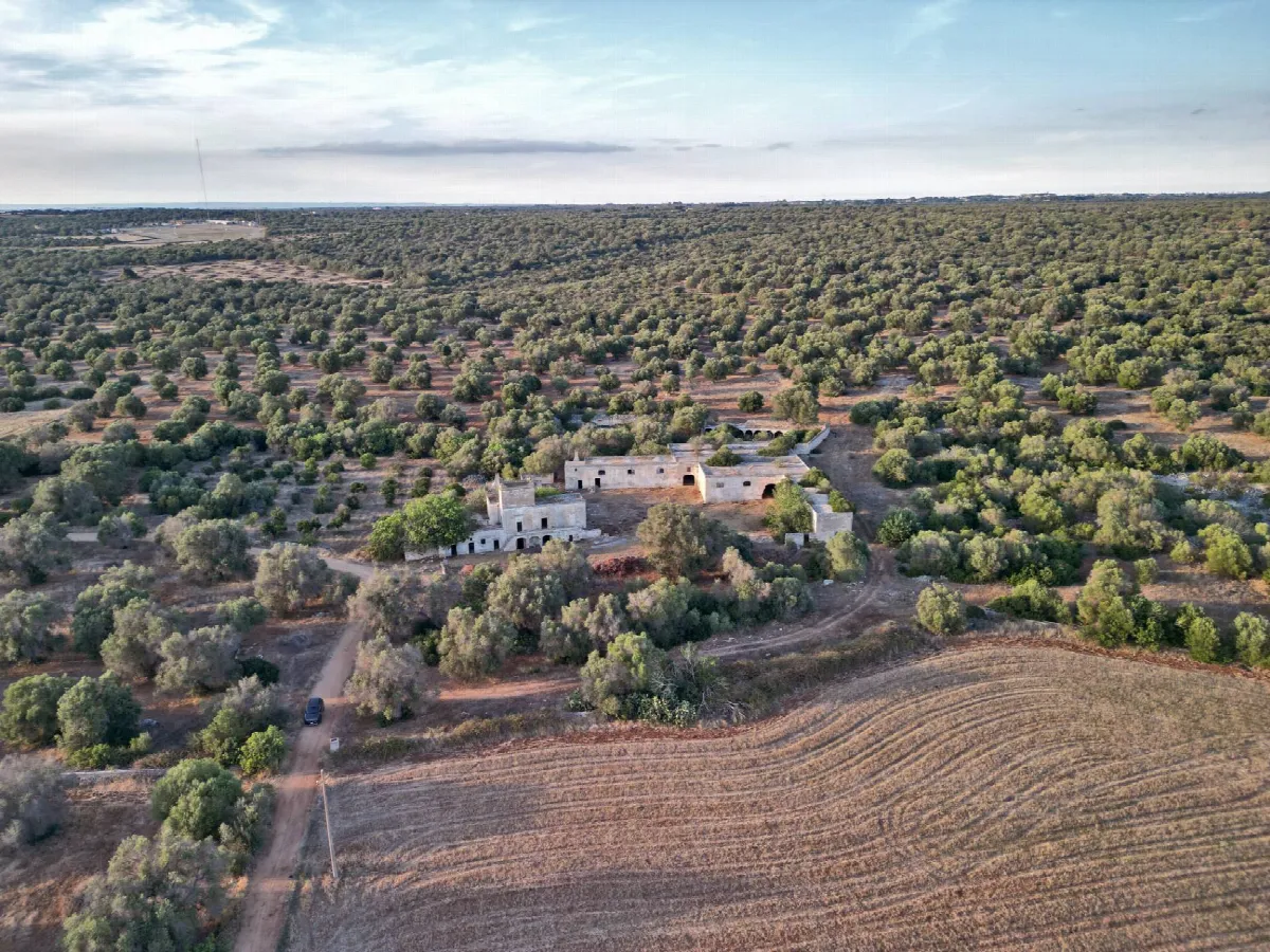 Rustico/Casale in vendita a Torricella - foto 3