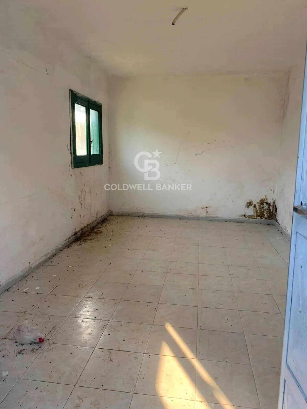 Rustico/Casale in vendita a Mesagne - foto 3