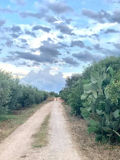 Rustico/Casale in vendita a Mesagne - foto 8