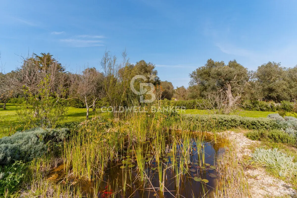 Villa in vendita a Ostuni - foto 5