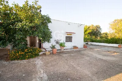 Villa in vendita a Carovigno - foto 5