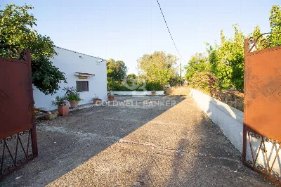 Villa in vendita a Carovigno - foto 6