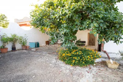 Villa in vendita a Carovigno - foto 9