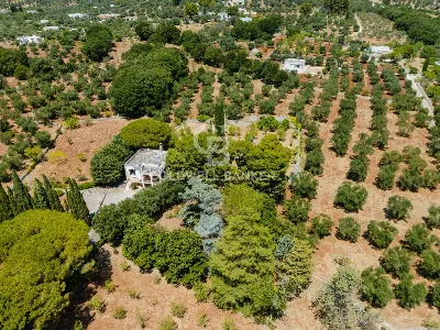 Villa in vendita a Ostuni - foto 5
