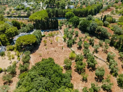 Villa in vendita a Ostuni - foto 7