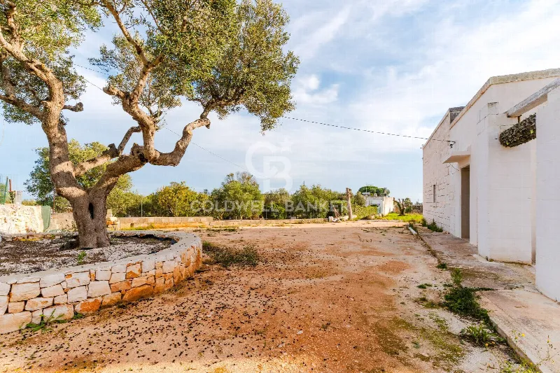 Rustico/Casale in vendita a Ostuni - foto 8
