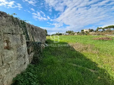 Rustico/Casale in vendita a Ostuni - foto 10