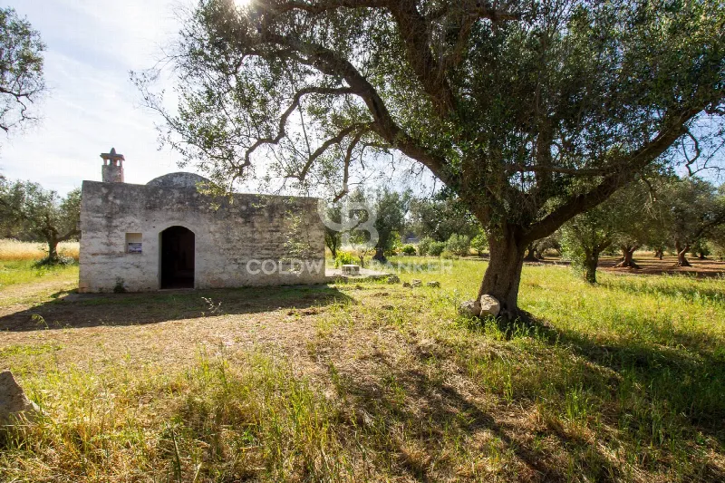 Rustico/Casale in vendita a Latiano - foto 1