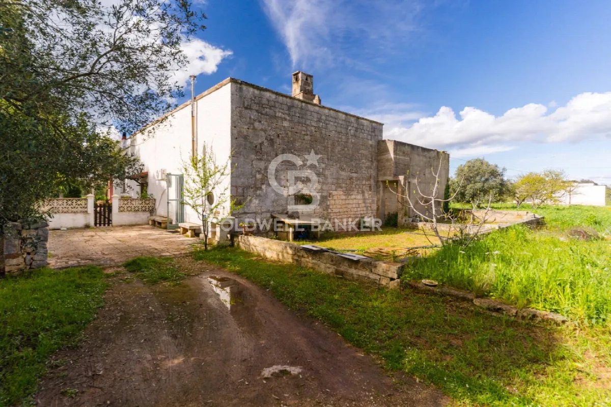Casa Indipendente in vendita a Carovigno - foto 3