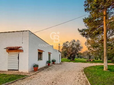 Rustico/Casale in vendita a Carovigno - foto 3