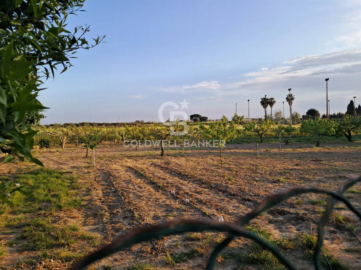 Rustico/Casale in vendita a Brindisi, Sant'elia, La Rosa, Tuturano - foto 2