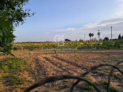 Rustico/Casale in vendita a Brindisi, Sant... - foto 2