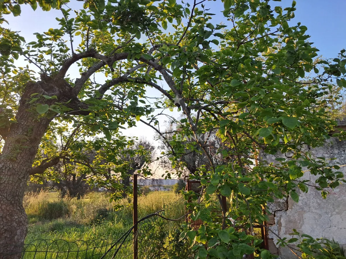 Rustico/Casale in vendita a Brindisi, Sant'elia, La Rosa, Tuturano - foto 3